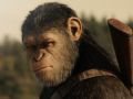 A majmok bolygója: Háború filmkritika