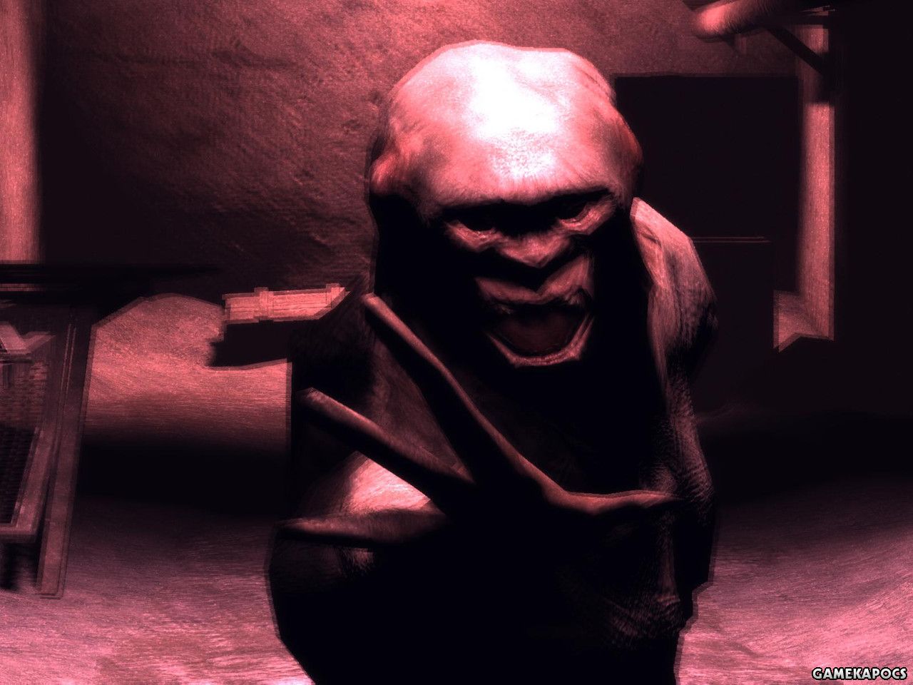 20061126_026