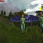 20040726_004