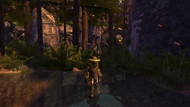 ODDSWForest1