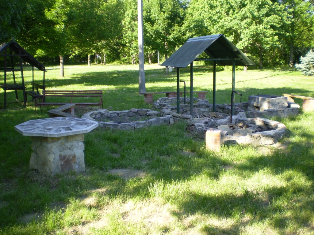 P5030026