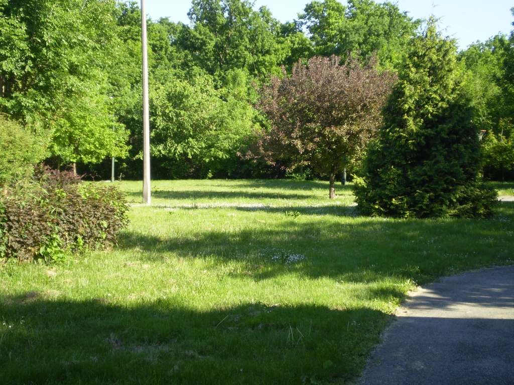 P5030029