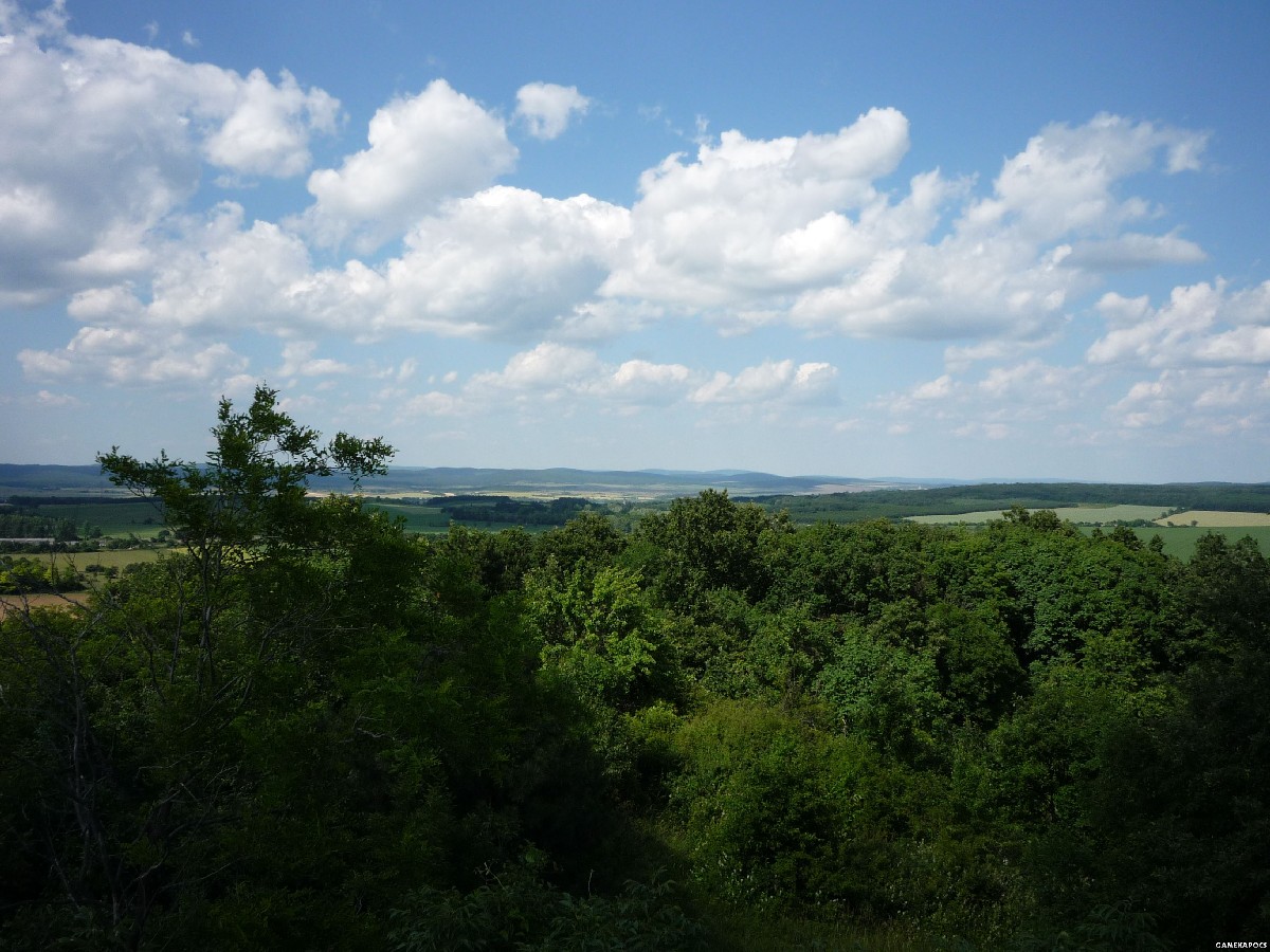 20090613_008