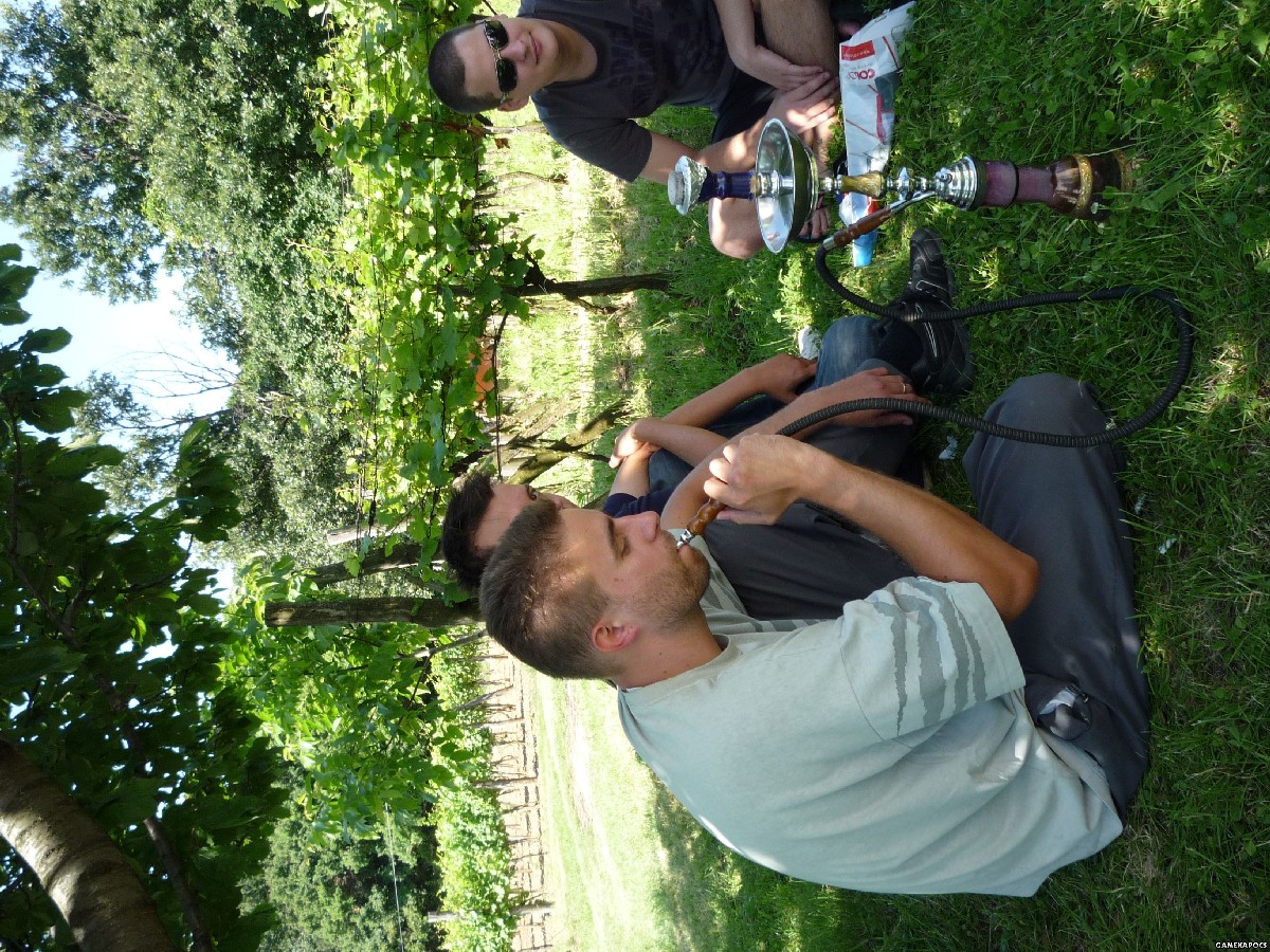 20090614_045
