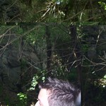 20090613_041
