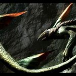 20071110_001