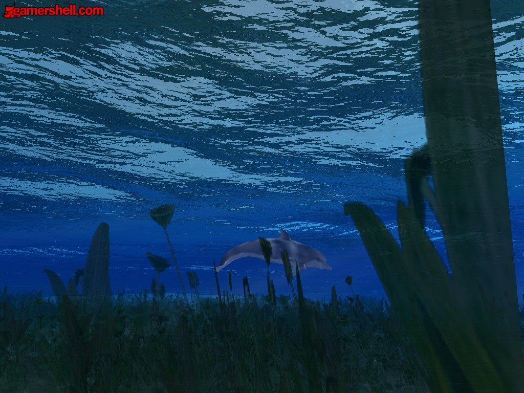 20050725_009
