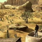 desperados2