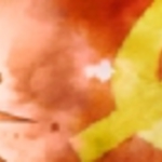 wicbeta2