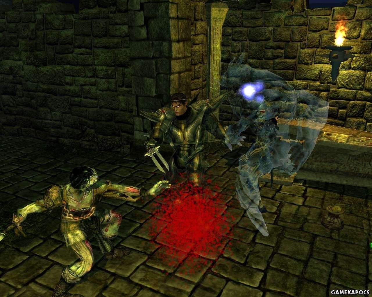 20070311_018