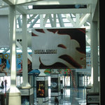 20060508_006