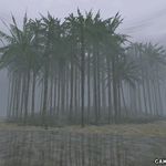 20060604_007