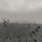 20060605_008
