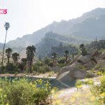 FH5_Biome_Living_Desert_02_16x9_WM