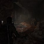 tlou24