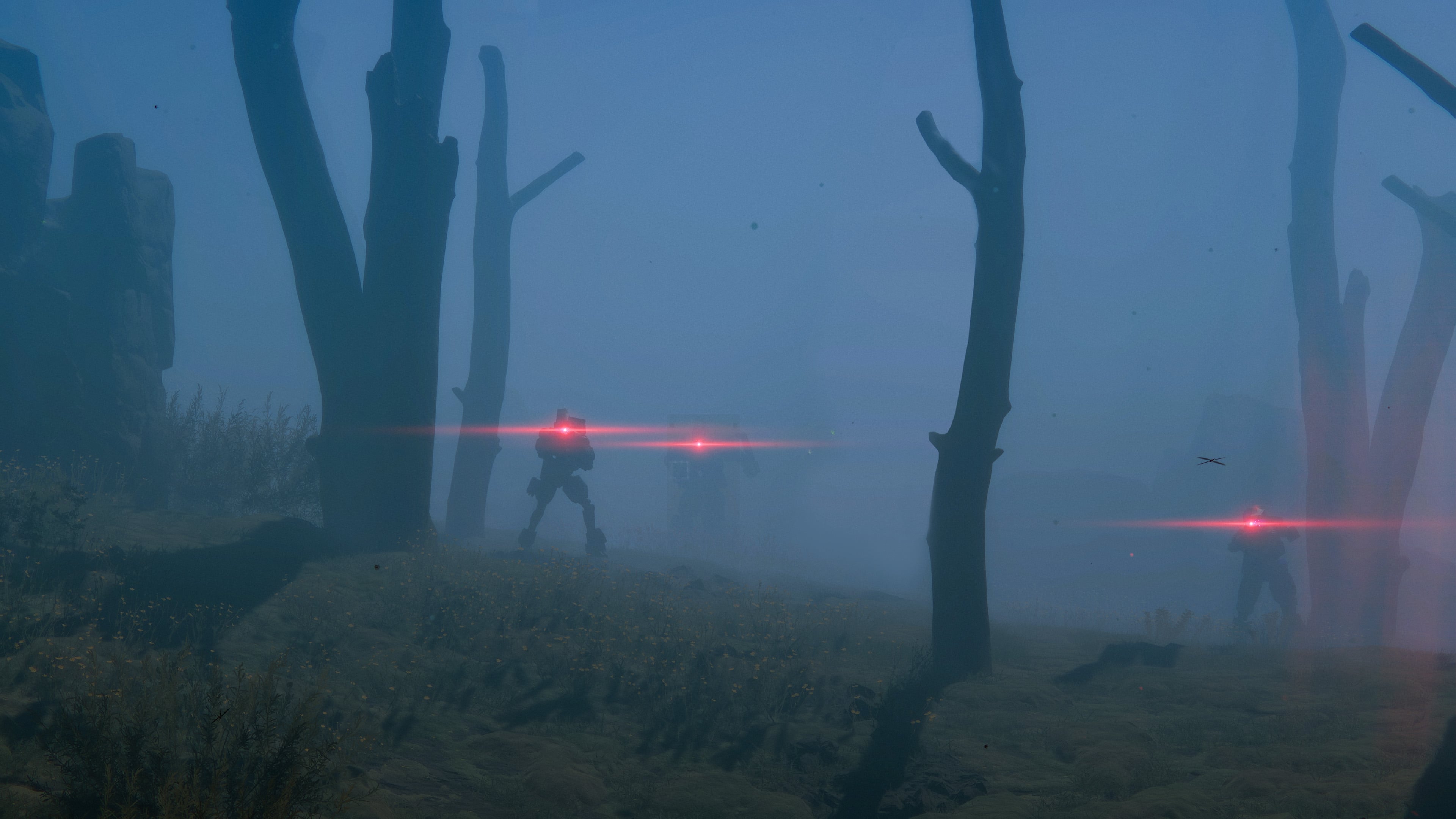 005