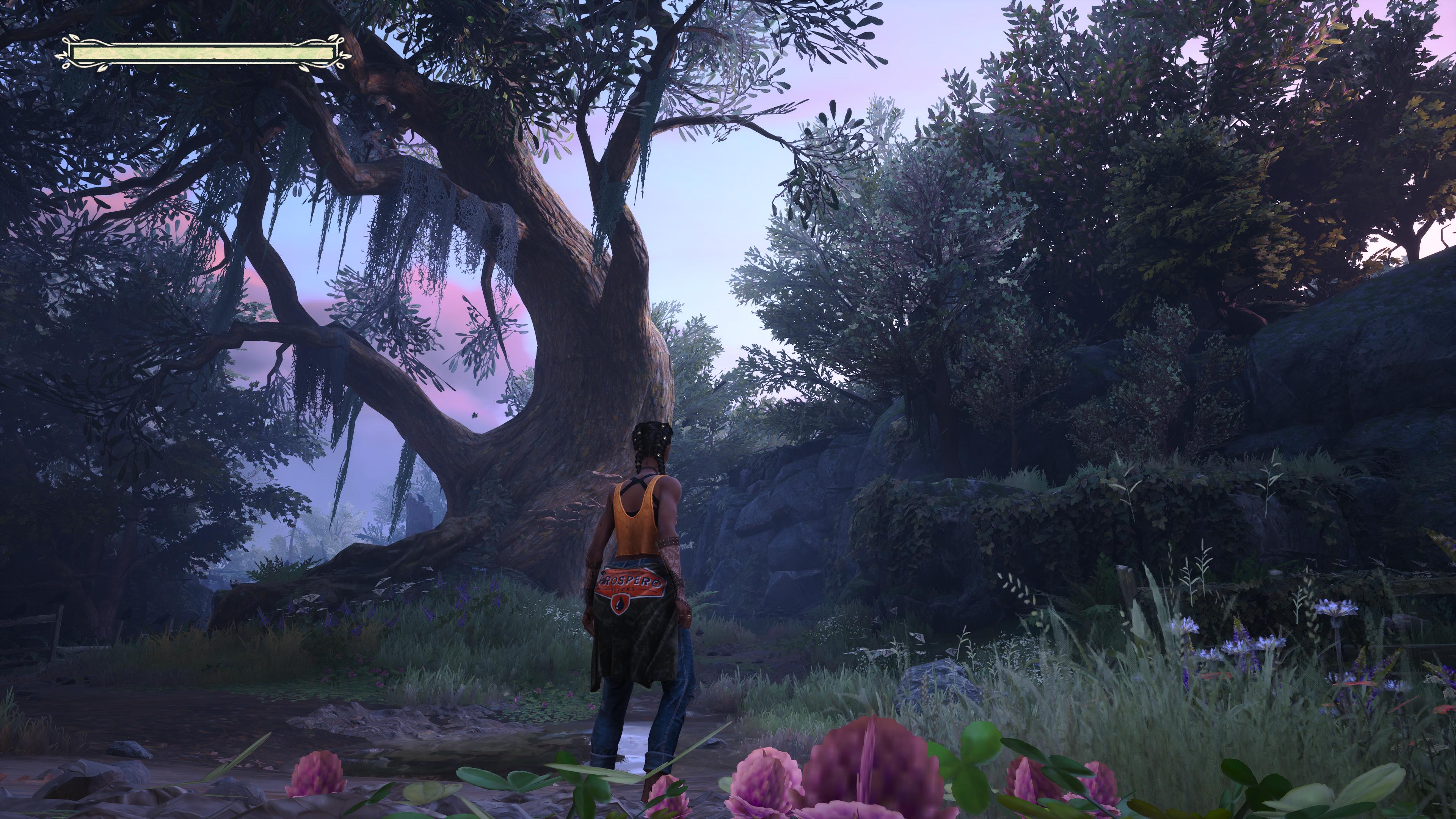 19d49e89ab973-screenshotUrl