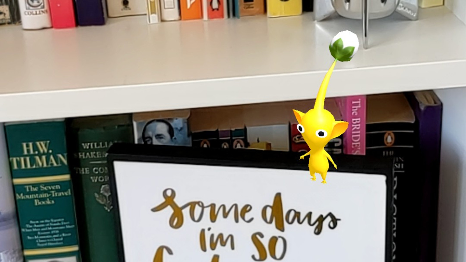 pikmin-finder