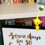 pikmin-finder