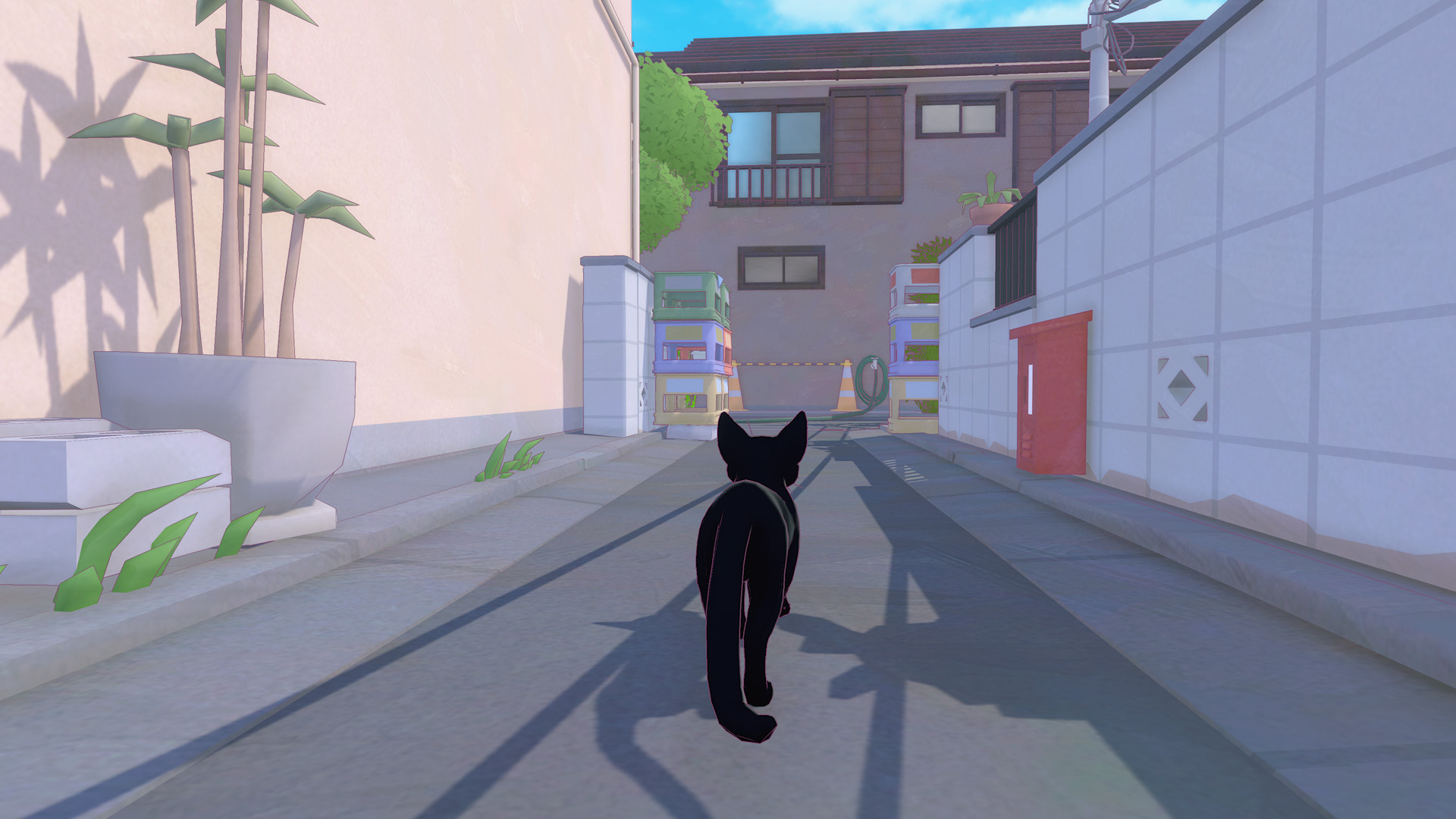 kitty3