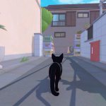 kitty3