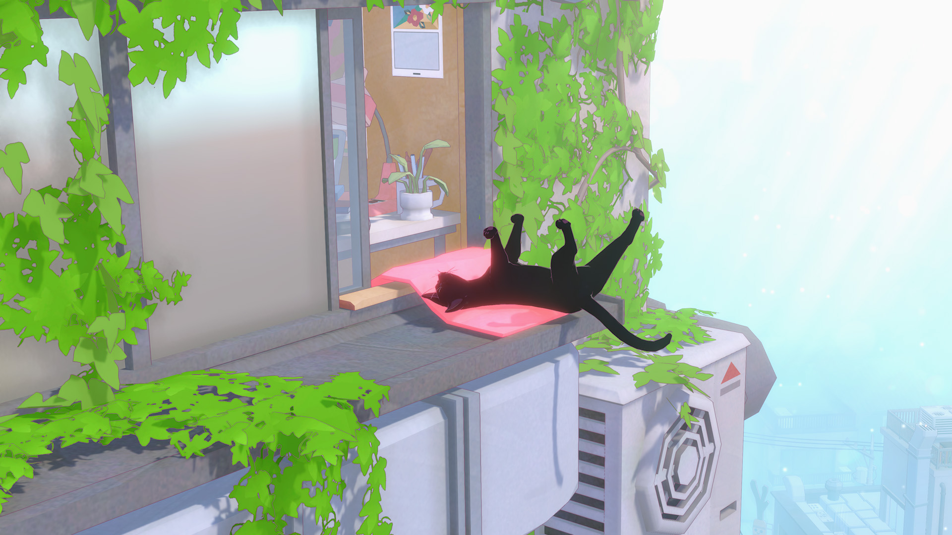 kitty2