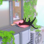 kitty2