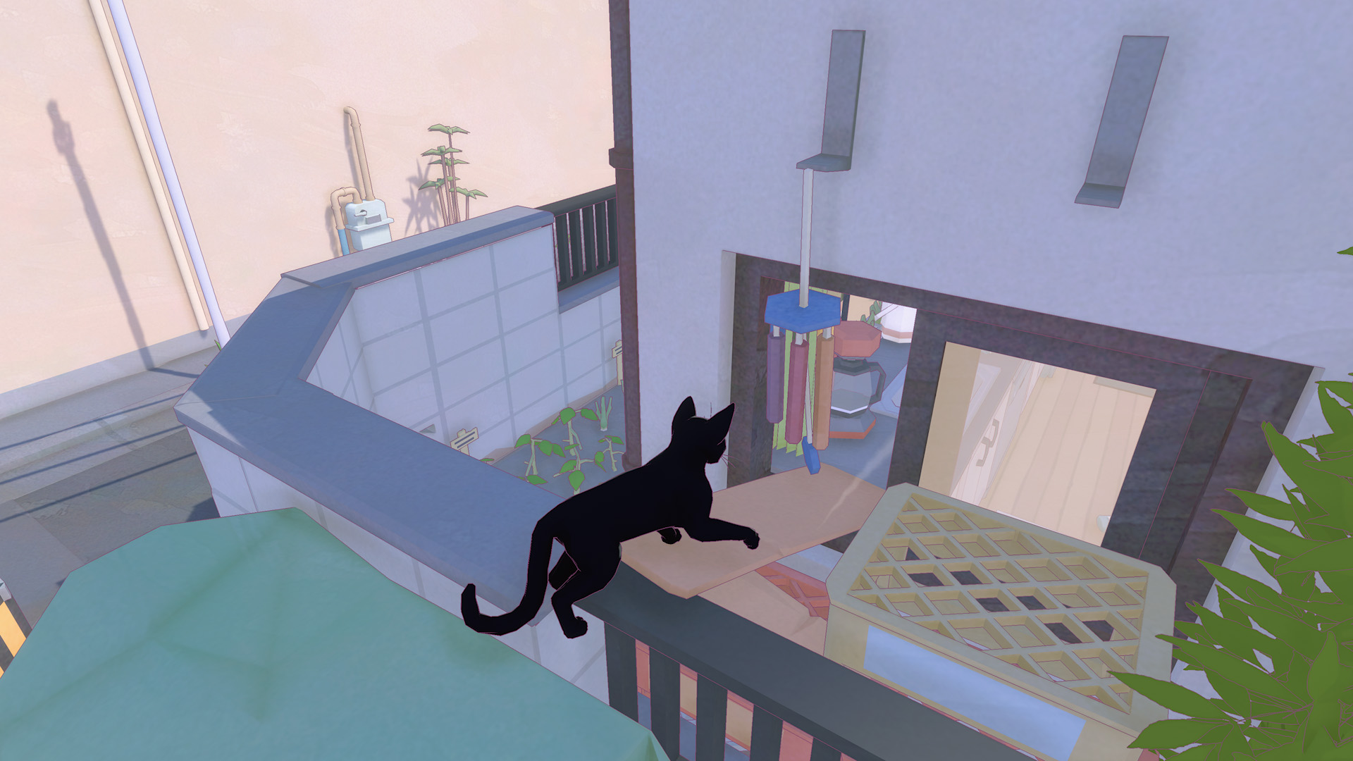 kitty4
