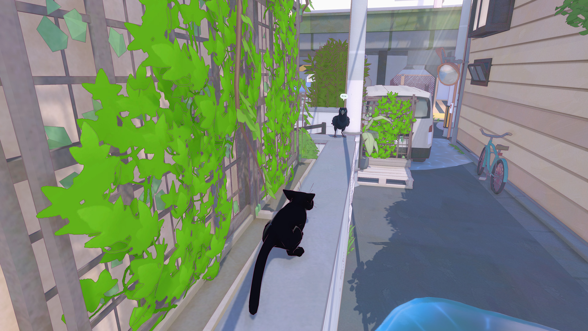 kitty5