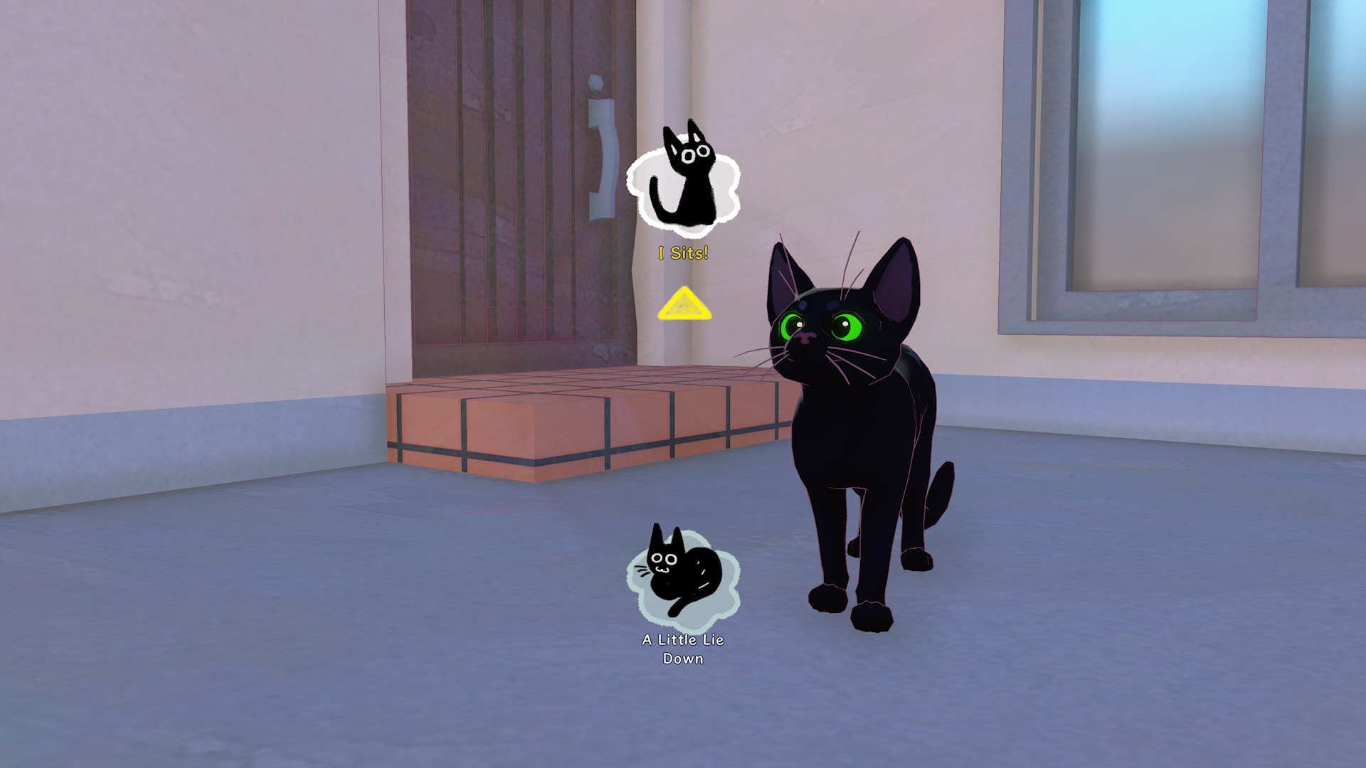 kitty6
