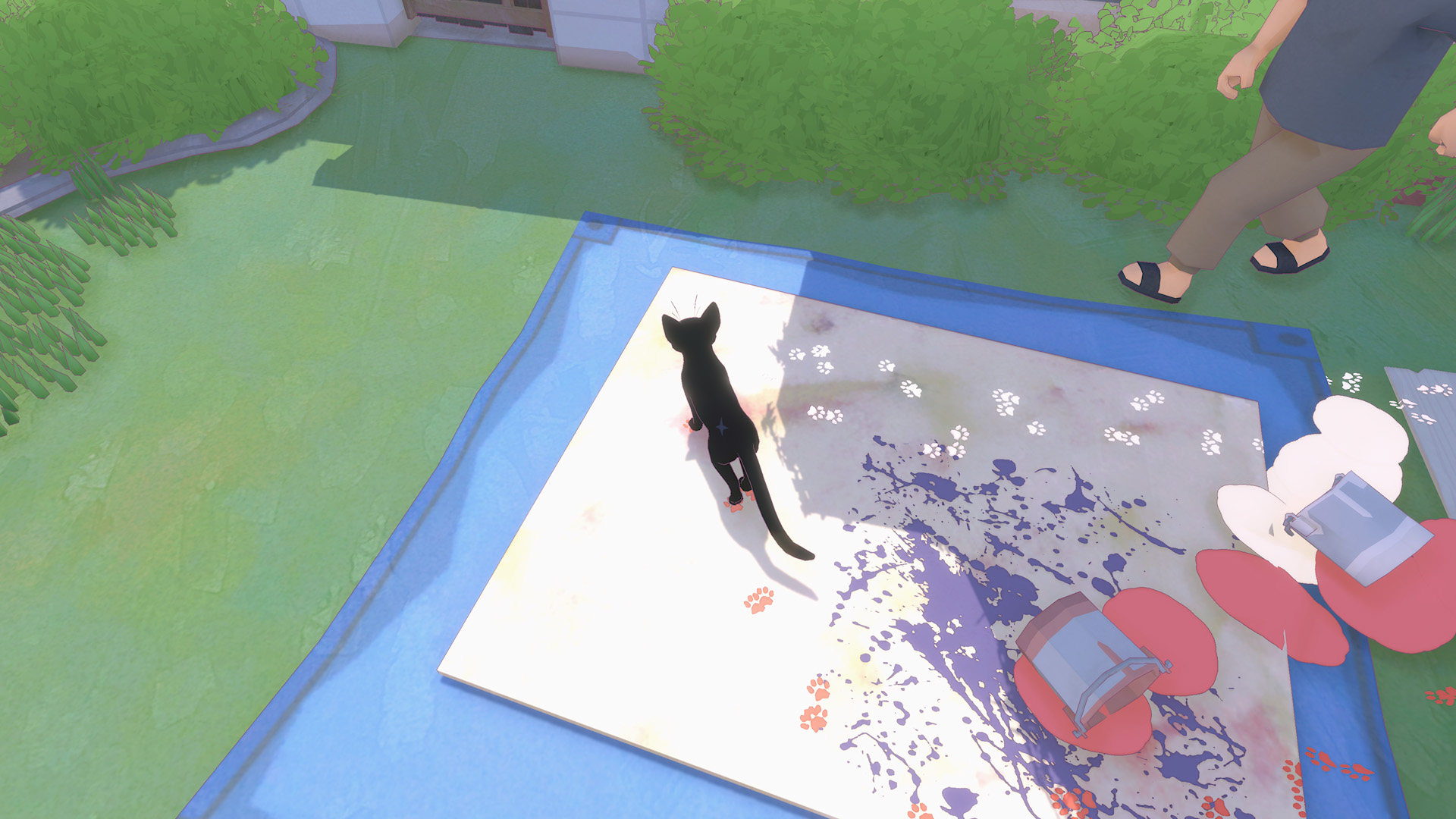 kitty8