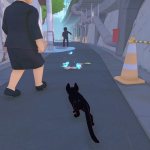 kitty14