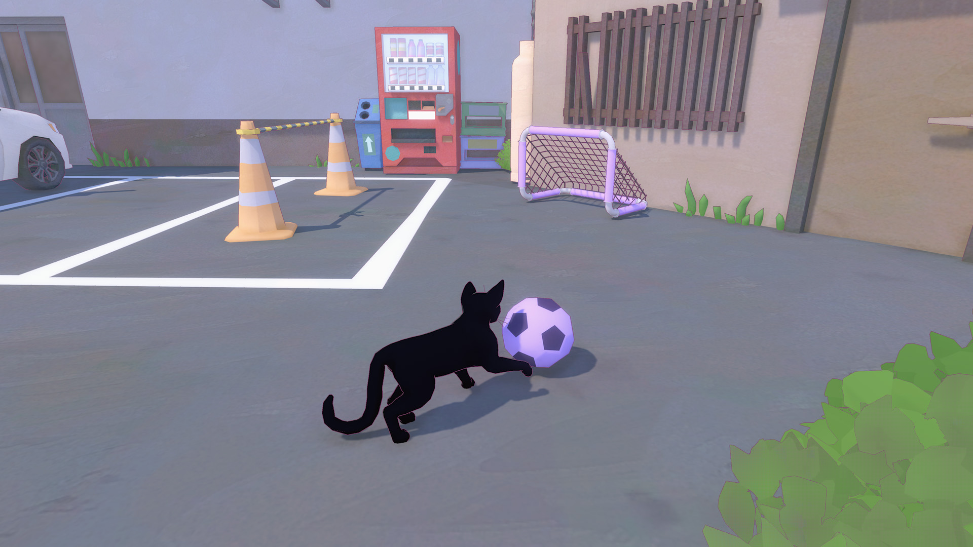 kitty25