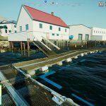 shipsatsea_6