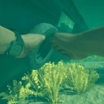 Stranded-Deep-2_2026_08-31-26_005