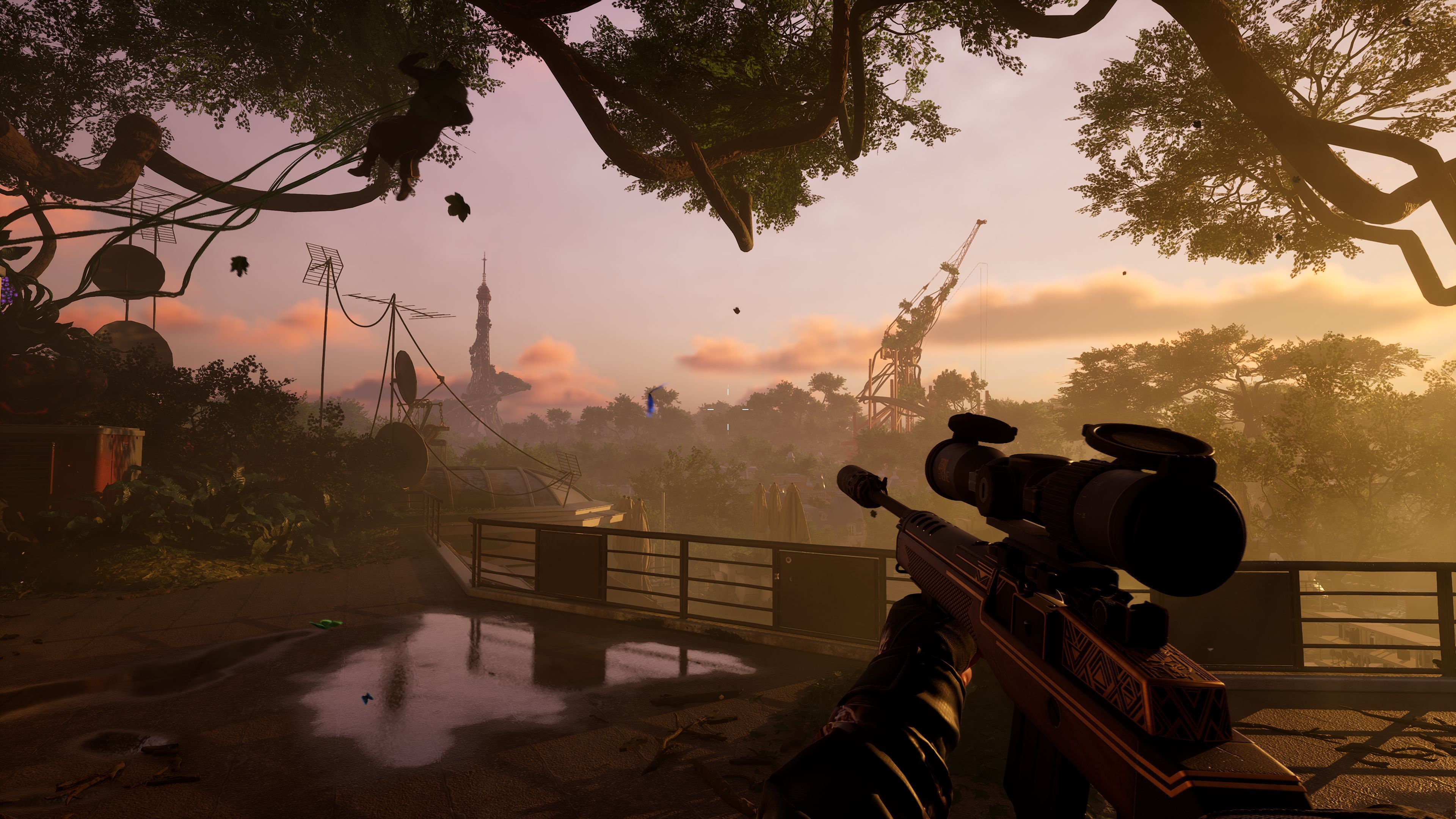 Forest-Reigns_2025_01-14-25_001