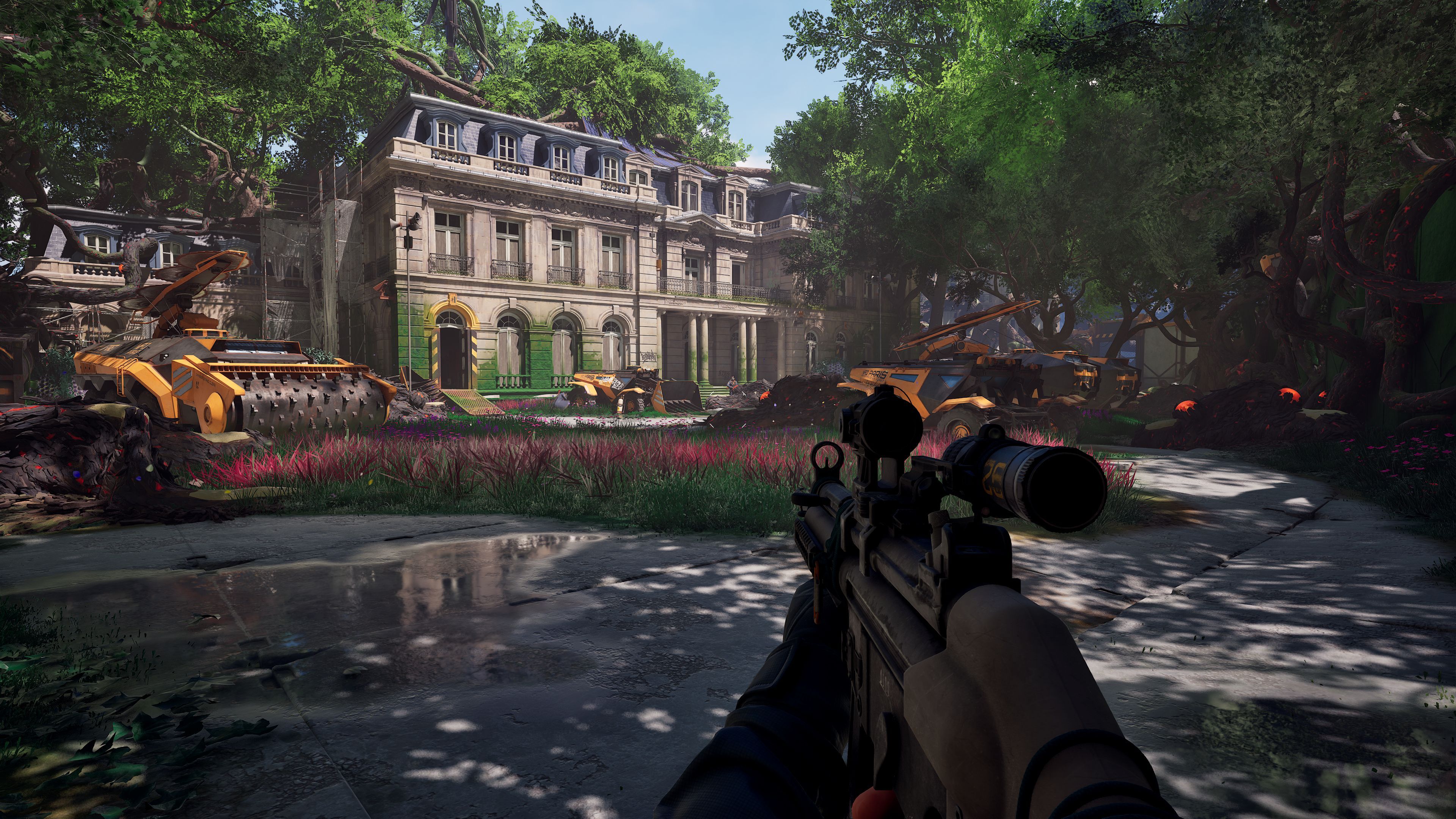 Forest-Reigns_2025_01-14-25_002