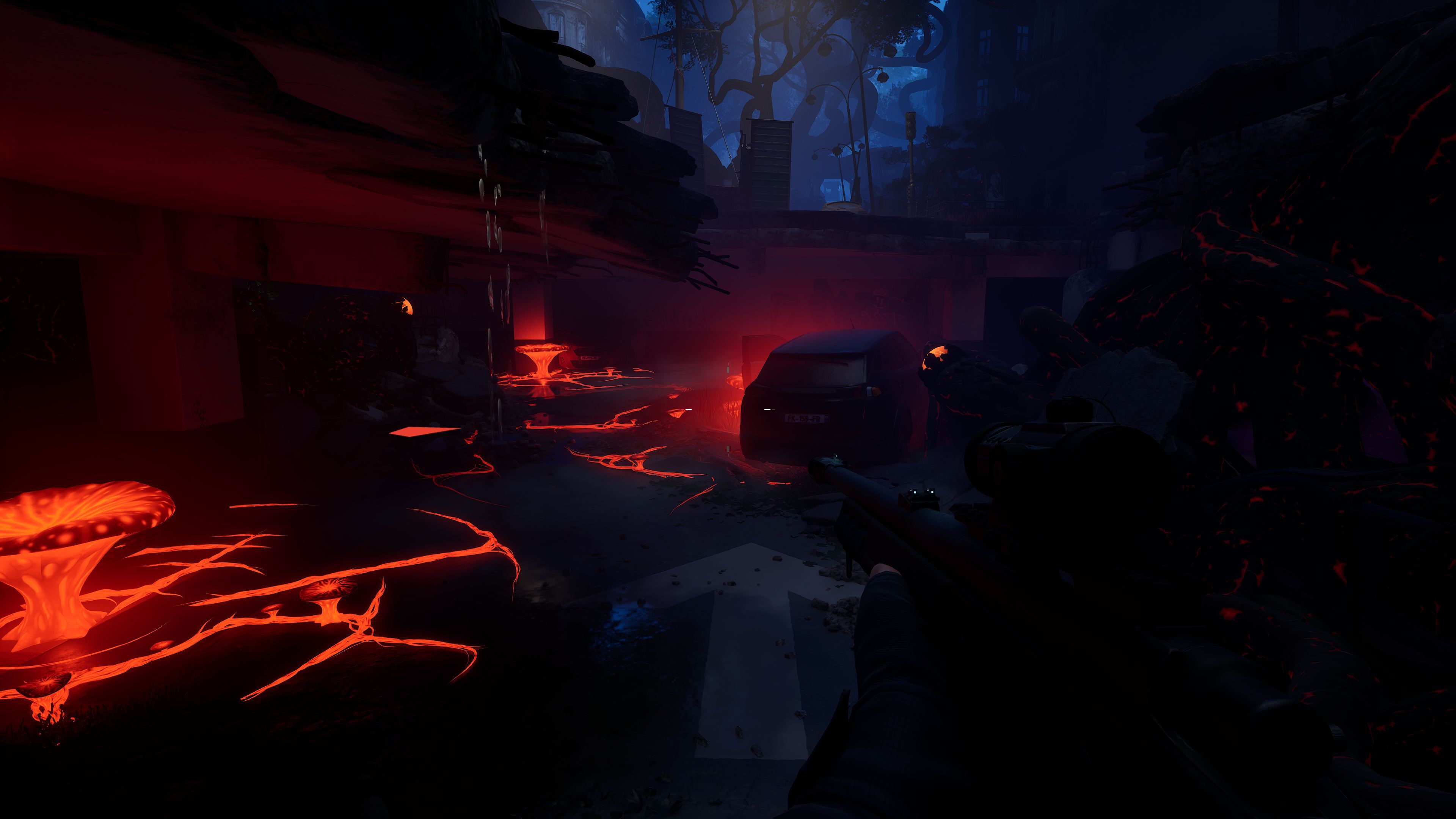 Forest-Reigns_2025_01-14-25_003
