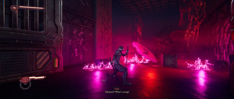 Ninja Gaiden 4
