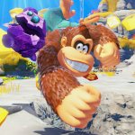 Donkey_Kong_Banaza_2
