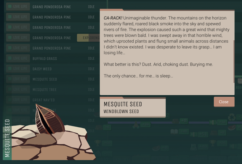 Plant-MesquiteSeed