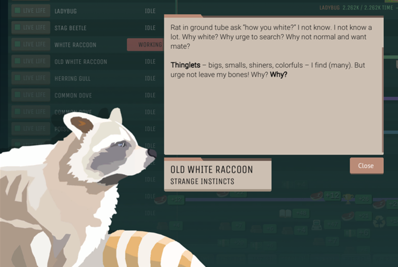 Animal-WhiteRaccoon