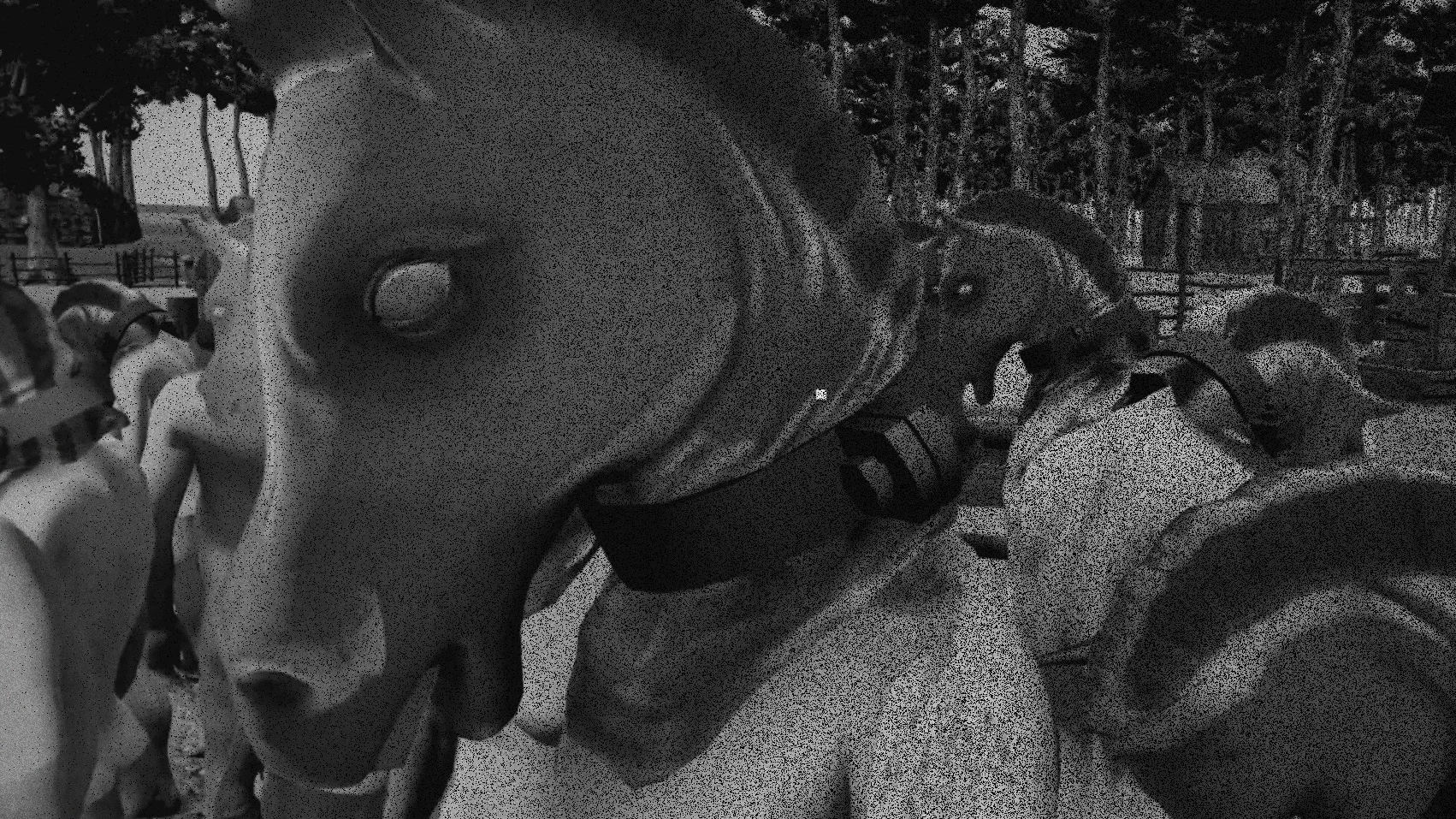 horsescreens