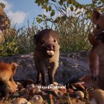 AdorableAdventures_2