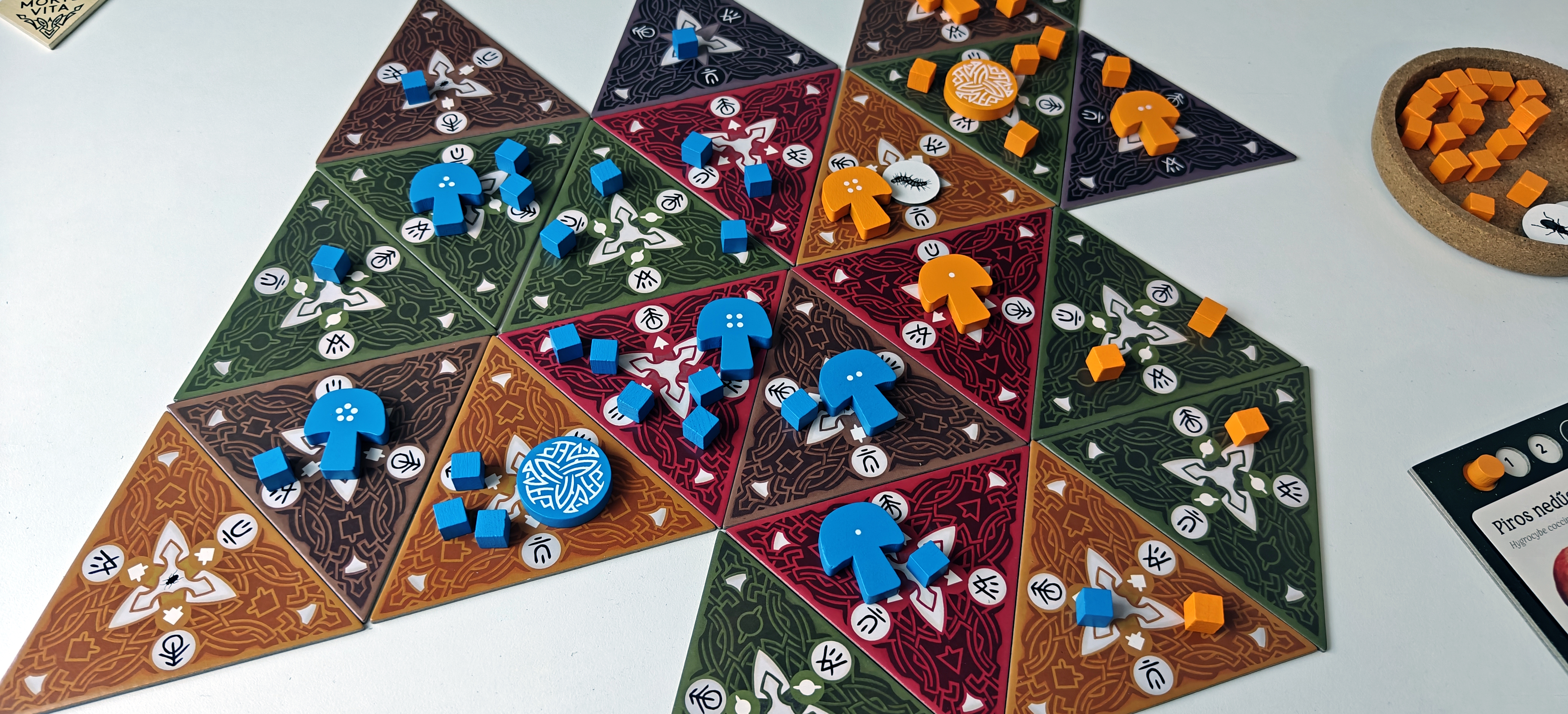 Mycelia_BOARDGAME_12