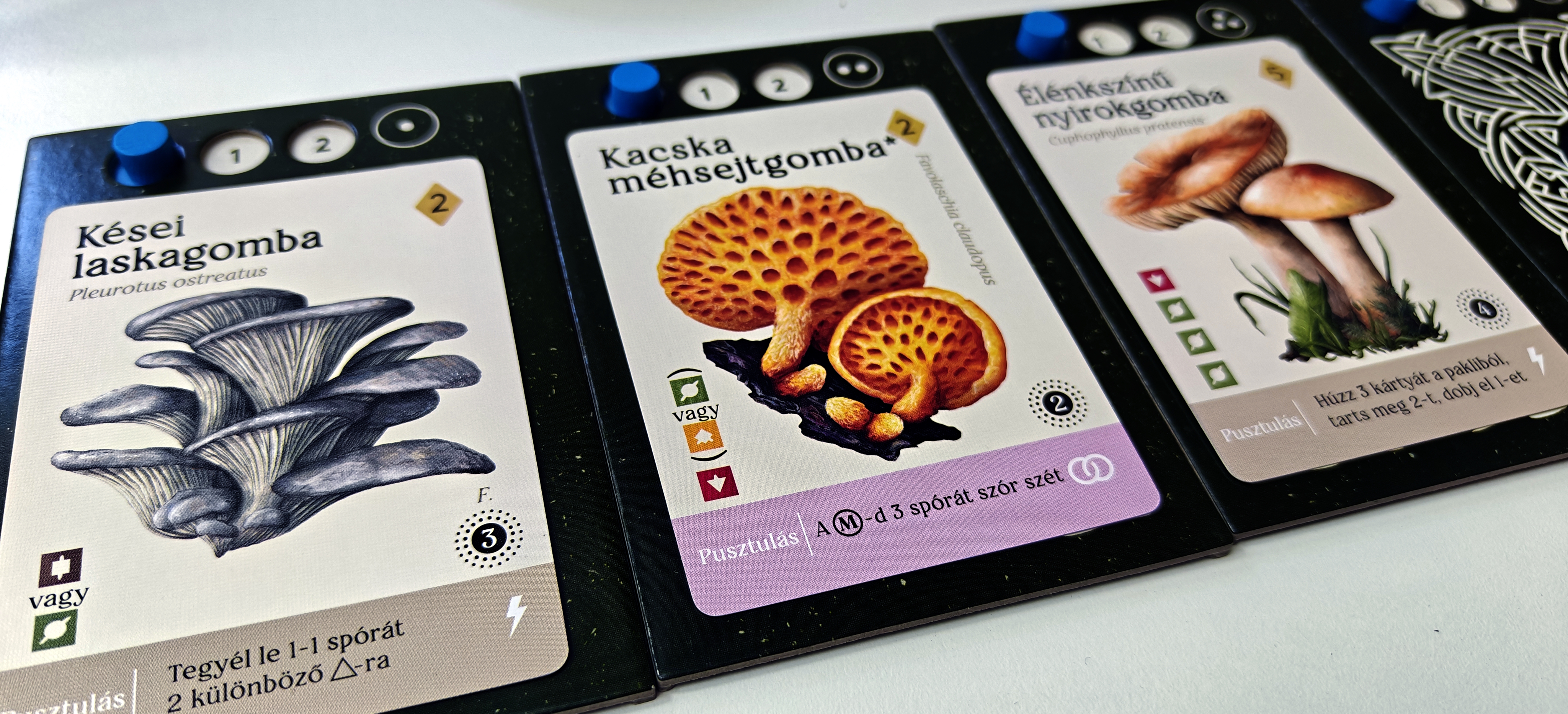 Mycelia_BOARDGAME_4