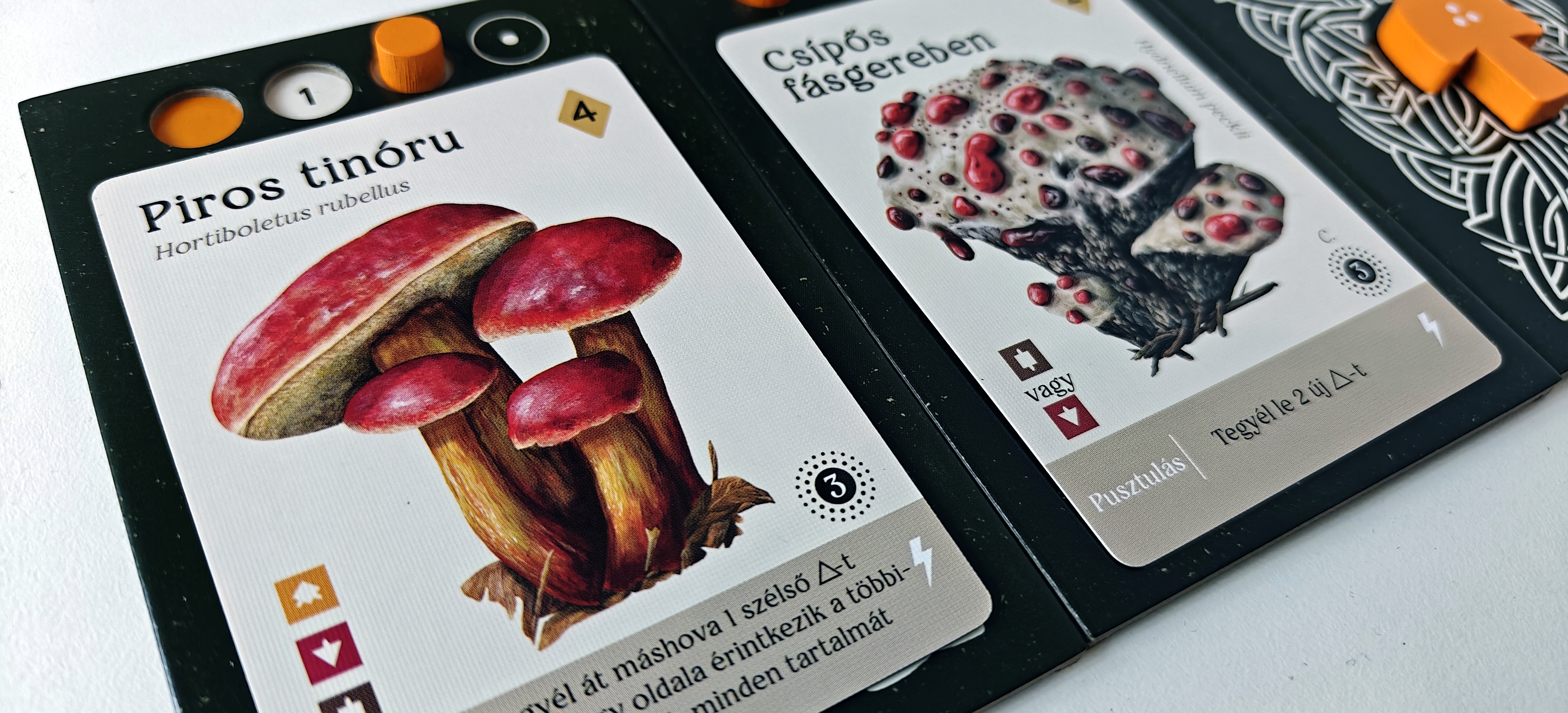 Mycelia_BOARDGAME_5
