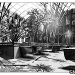 20090308_027