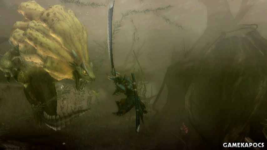20100426_003
