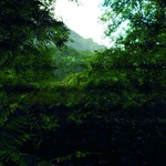 20090325_023